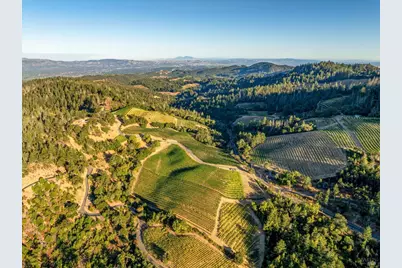2340 Mount Veeder Road, Napa, CA 94558 - Photo 4