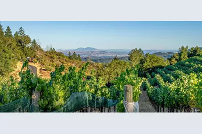 2340 Mount Veeder Road, Napa, CA 94558 - Photo 24