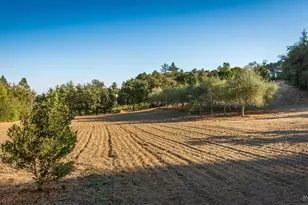 4131 Dry Creek Rd, Napa, CA 94558 - Photo 60