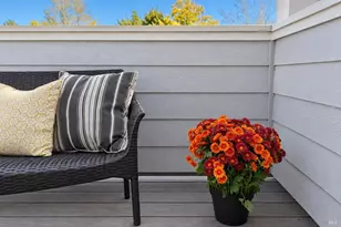 225 Burt St, Santa Rosa, CA 95407 - Photo 14