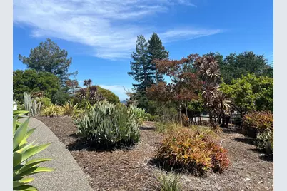 205 Bret Harte Road, San Rafael, CA 94901 - Photo 34