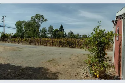 2565 Piner Road, Santa Rosa, CA 95401 - Photo 64
