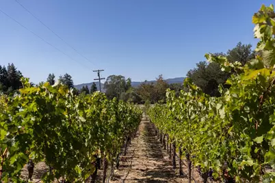 7031 Silverado Trail, Napa, CA 94558 - Photo 18