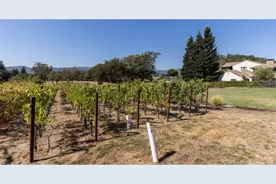 7031 Silverado Trail, Napa, CA 94558 - Photo 20