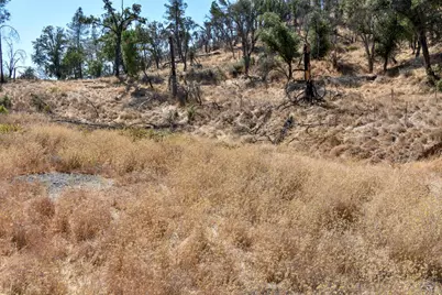 6003 Wragg Canyon Road, Napa, CA 94558 - Photo 14