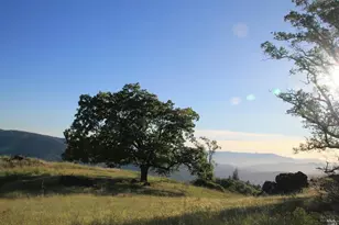 0 Mendocino Pass Rd, Covelo, CA 95428 - Photo 1