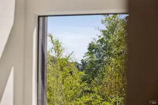 831 Sir Francis Drake Blvd, San Anselmo, CA 94960 - Photo 20