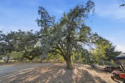7878 Gravenstein Highway, Cotati, CA 94931 - Photo 62