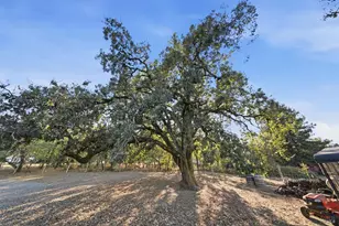 7878 Gravenstein Hwy, Cotati, CA 94931 - Photo 62