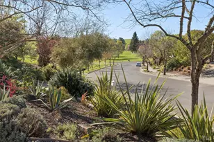3350 Linda Mesa Way, Napa, CA 94558 - Photo 50