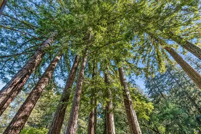 6 Marion Avenue, Mill Valley, CA 94941 - Photo 32