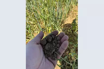 [Address not provided], Lower Lake, CA 95457 - Photo 14