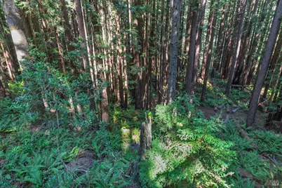 1101 River Beach Road, The Sea Ranch, CA 95497 - Photo 30