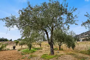 6295 Sonoma Hwy, Santa Rosa, CA 95409 - Photo 76