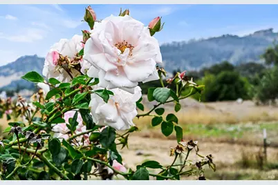 6295 Sonoma Highway, Santa Rosa, CA 95409 - Photo 82