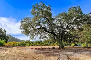 321 Dutch Henry Canyon Rd, Calistoga, CA 94515 - Photo 12