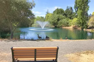 377 Avenida Barbera, Sonoma, CA 95476 - Photo 42