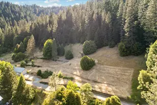 131 Gold Bluff Rd, Downieville, CA 95936 - Photo 66