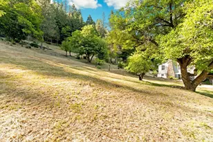 131 Gold Bluff Rd, Downieville, CA 95936 - Photo 44