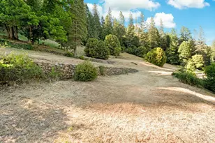 131 Gold Bluff Rd, Downieville, CA 95936 - Photo 42