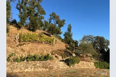 1910 Silverado Trail, Saint Helena, CA 94574 - Photo 6