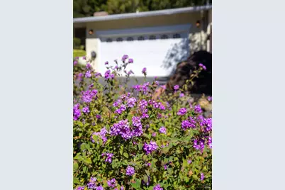 323 Rheem Boulevard, Moraga, CA 94556 - Photo 10