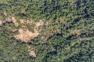 3531 Running Springs Rd, Ukiah, CA 95482 - Photo 44