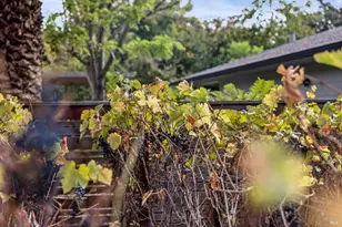 483 E Napa St, Sonoma, CA 95476 - Photo 80