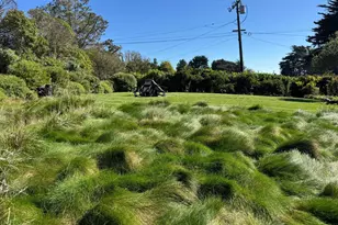 398 Ocean Pkwy, Bolinas, CA 94924 - Photo 4