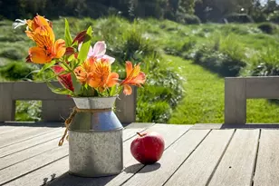 398 Ocean Pkwy, Bolinas, CA 94924 - Photo 28