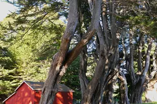 26800 N Hwy 1, Fort Bragg, CA 95437 - Photo 40