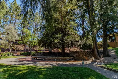 5 Forest Lane, San Rafael, CA 94903 - Photo 14