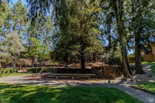 5 Forest Ln, San Rafael, CA 94903 - Photo 14