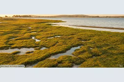509 Smith Brothers Road, Bodega Bay, CA 94923 - Photo 16