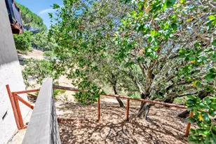 155 Dominican Dr, San Rafael, CA 94901 - Photo 42