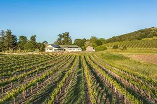 5561 Sonoma Mountain Rd, Santa Rosa, CA 95404 - Photo 8