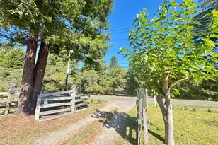 175 Horseshoe Hill Rd, Bolinas, CA 94924 - Photo 30