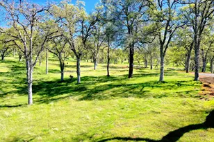 18300 Morgan Valley Rd, Lower Lake, CA 95457 - Photo 42
