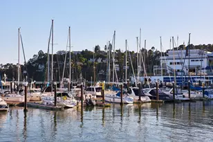 893 Tiburon Blvd, Tiburon, CA 94920 - Photo 60
