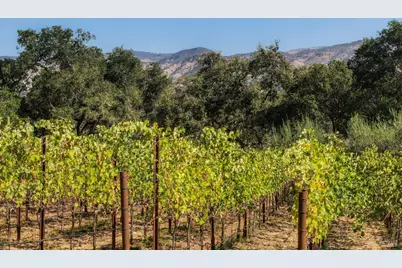 45 Vineyard View Drive, Napa, CA 94558 - Photo 8