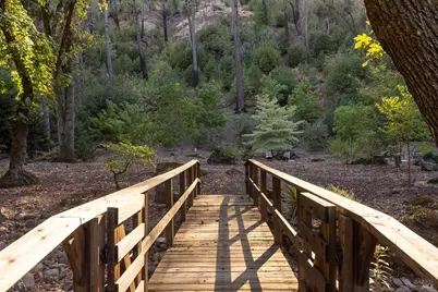 481 Crystal Springs Road, Saint Helena, CA 94574 - Photo 58