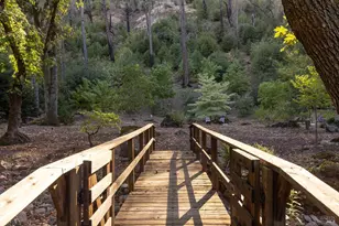 481 Crystal Springs Rd, Saint Helena, CA 94574 - Photo 58