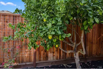 4412 Malaga Way, Napa, CA 94558 - Photo 10