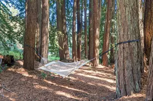 3565 Joy Rd, Occidental, CA 95465 - Photo 44