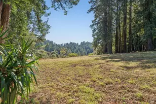 3565 Joy Rd, Occidental, CA 95465 - Photo 42