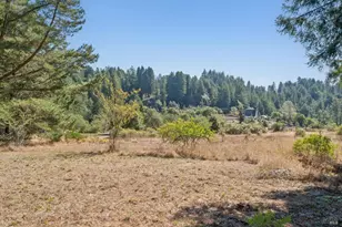 3565 Joy Rd, Occidental, CA 95465 - Photo 2