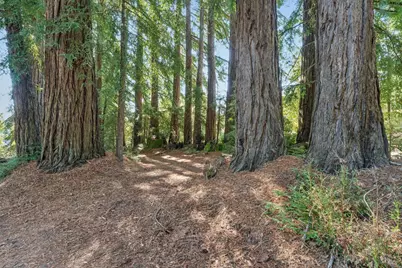 3565 Joy Road, Occidental, CA 95465 - Photo 44