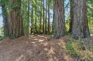 3565 Joy Rd, Occidental, CA 95465 - Photo 44