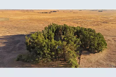4791 Cook Lane, Dixon, CA 95620 - Photo 50