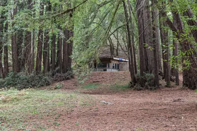 1355 Nicasio Valley Road, Nicasio, CA 94946 - Photo 20